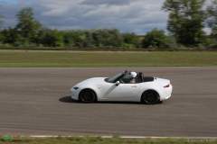 IMG_4538_lr