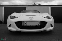 IMG_4660_lr