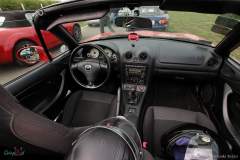 IMG_4663_lr