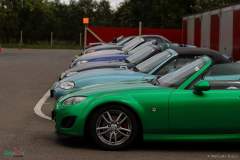 IMG_4719_lr