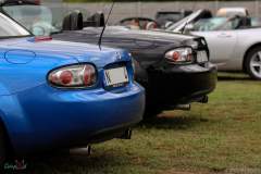 IMG_4724_lr