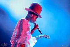 IMG_5230_lr