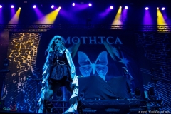 Mothica - 2023.11.20.