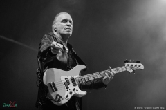 IMG_4004-lr-2