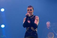 IMG_4311_lr