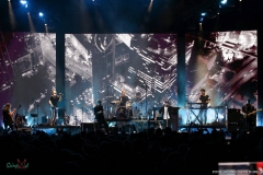 IMG_8240_lr