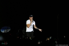 IMG_8583_lr