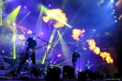 IMG_3549_lr