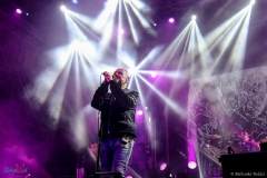 IMG_3810_lr