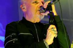 IMG_8163_lr