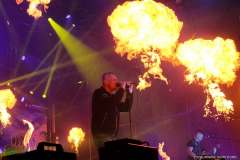 IMG_8530_lr