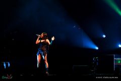IMG_8500-lr
