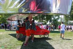 IMG_8409_lr