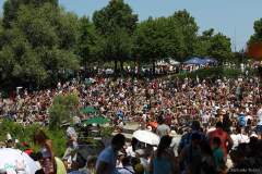 IMG_8485_lr