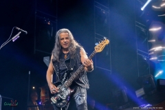 IMG_2316_lr