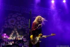 IMG_0809_lr