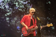 IMG_0050_lr