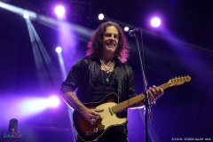 IMG_8204_lr
