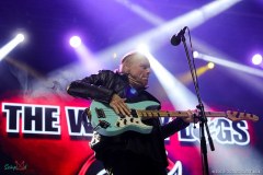 IMG_8321_lr