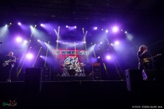 IMG_8339_lr