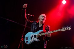 IMG_8523_lr