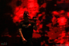 IMG_0891_lr