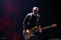IMG_0906_lr