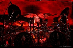 IMG_0931_lr