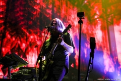 IMG_1048_lr