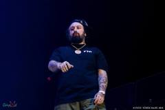 IMG_3762_lr