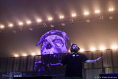 IMG_3865_lr