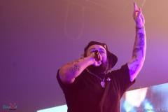 IMG_3926_lr