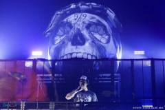 IMG_3993_lr